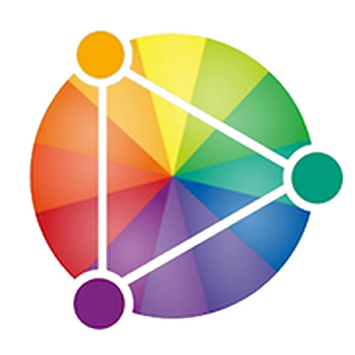 Best Color Combinations To Know What Looks Good 